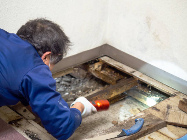 Best Residential Mold Remediation in Mccormick, SC