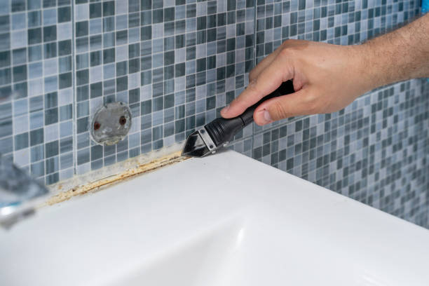 Best Mold Testing and Inspection Services in Mccormick, SC