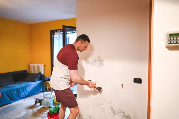 Best Health and Safety Mold Remediation in Mccormick, SC