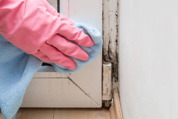 Best Residential Mold Remediation in Mccormick, SC